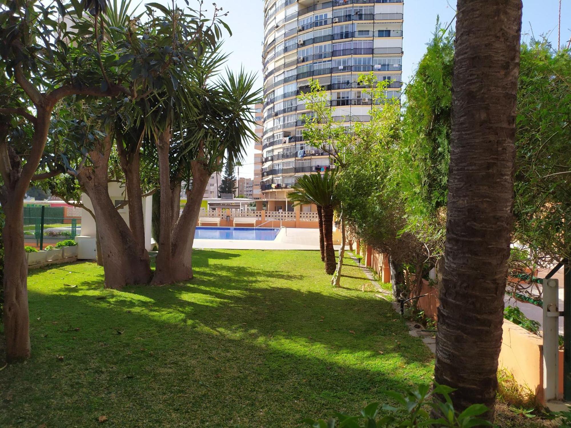 Estudio Reformado Y Centrico Con Piscina Y Wifi Acepta Mascotas Benidorm Eksteriør billede